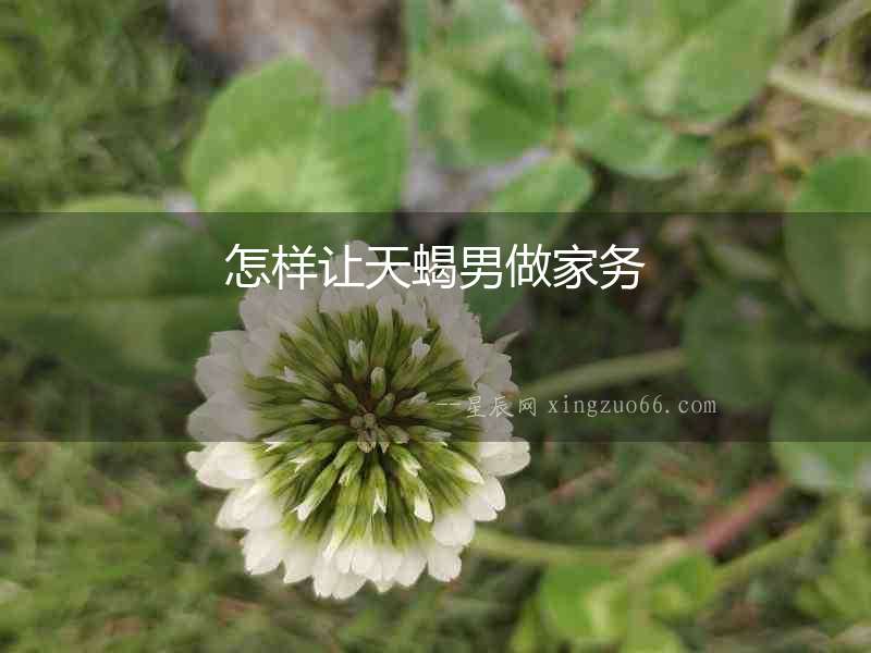 怎樣讓天蝎男做家務(wù)