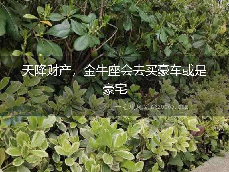 天降財產，金牛座會去買豪車或是豪宅