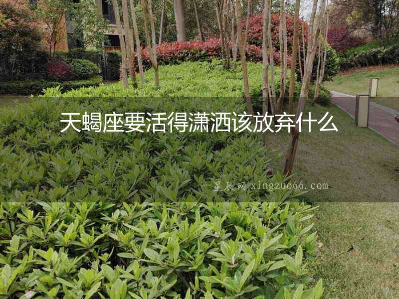 天蝎座要活得瀟灑該放棄什么
