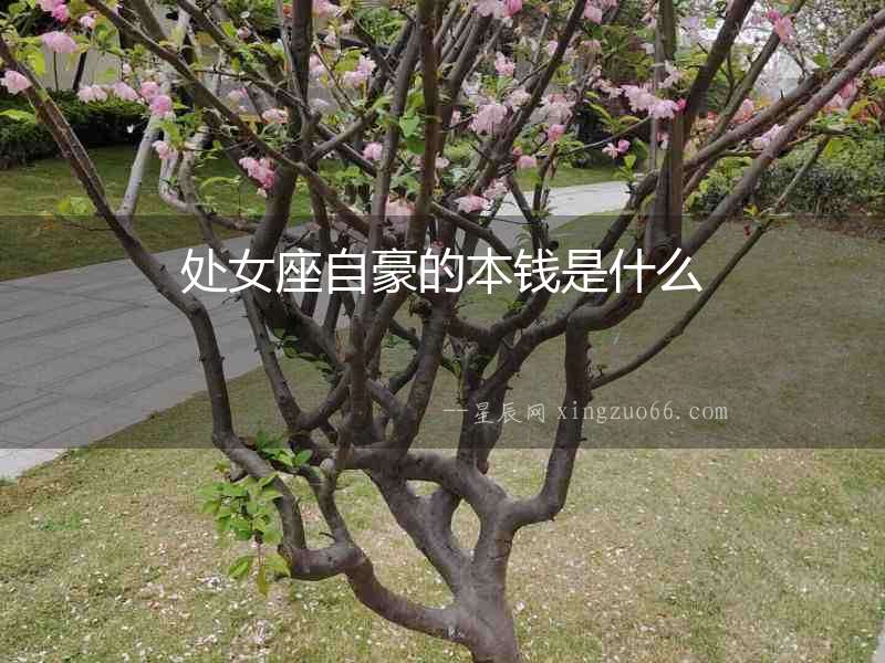 處女座自豪的本錢是什么