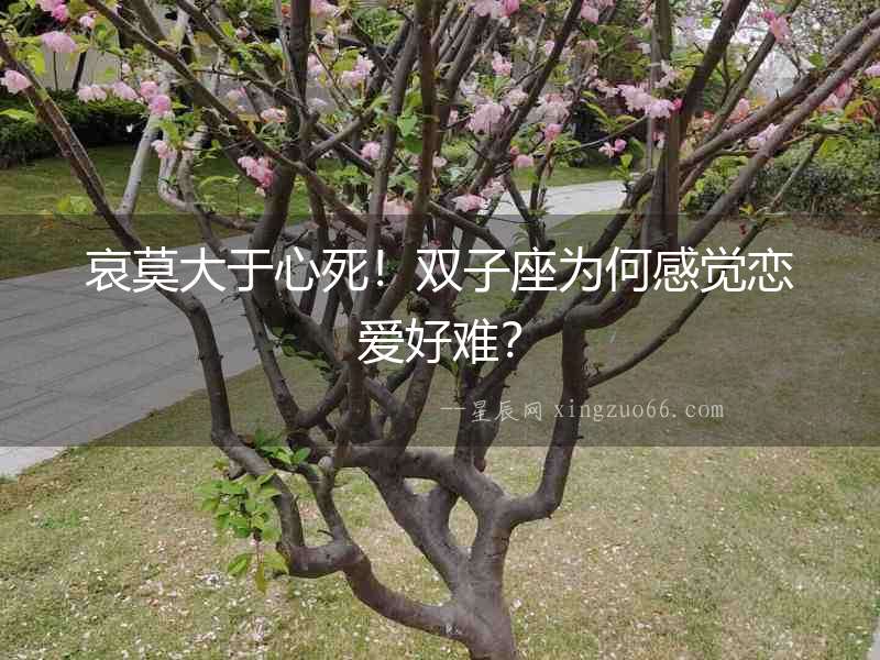 哀莫大于心死！雙子座為何感覺(jué)戀愛(ài)好難？