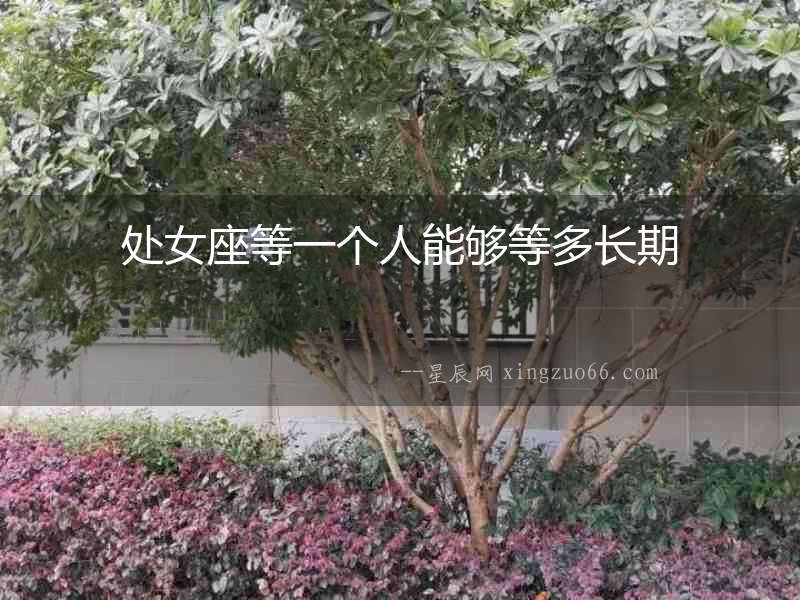 處女座等一個人能夠等多長期