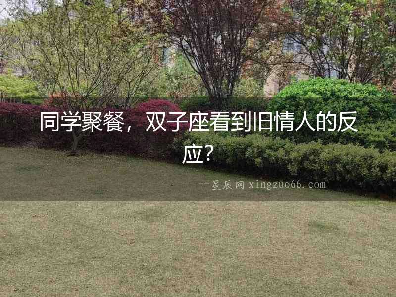 同學聚餐，雙子座看到舊情人的反應？