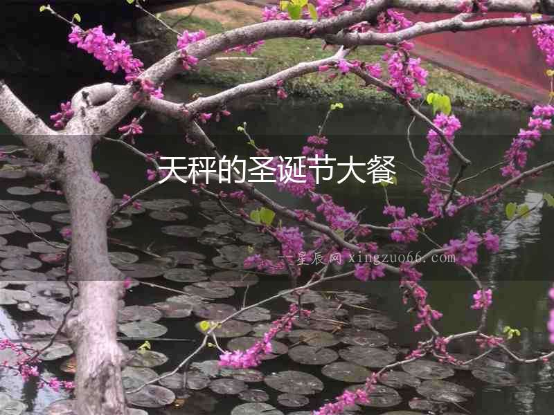 天秤的圣誕節大餐