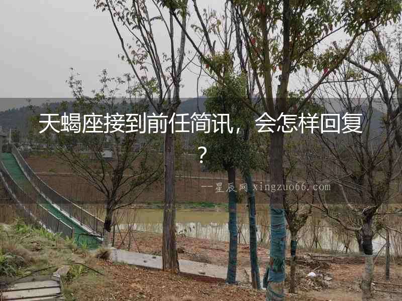 天蝎座接到前任簡訊，會怎樣回復？