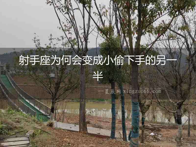 射手座為何會變成小偷下手的另一半