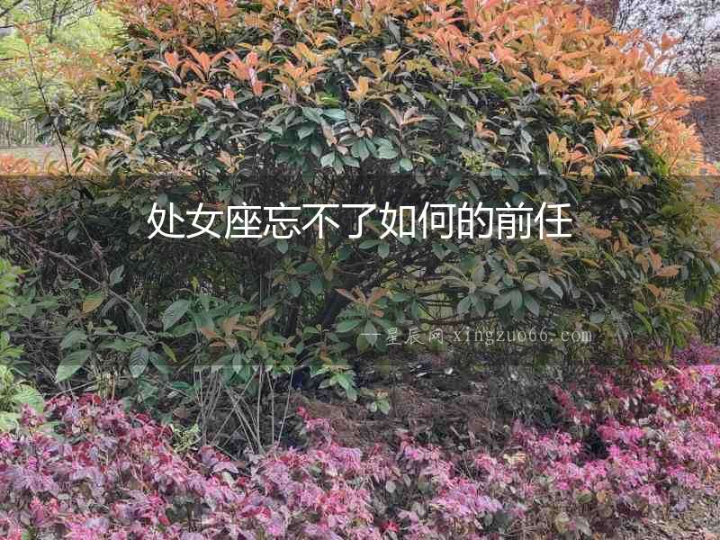 處女座忘不了如何的前任