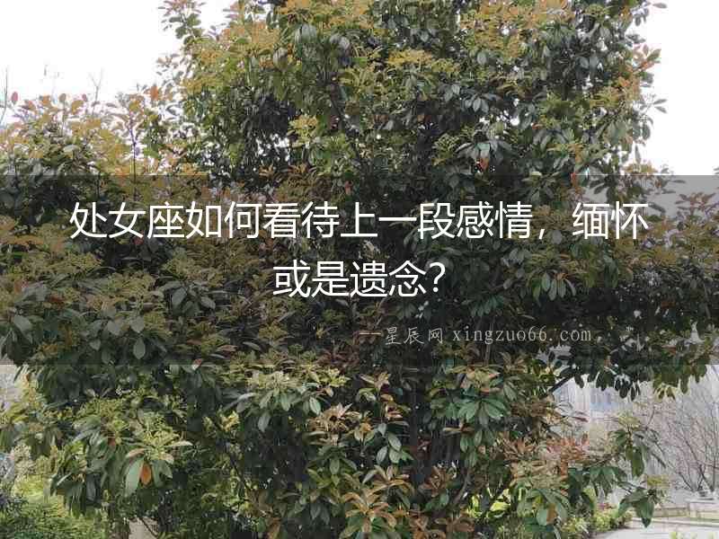 處女座如何看待上一段感情，緬懷或是遺念？