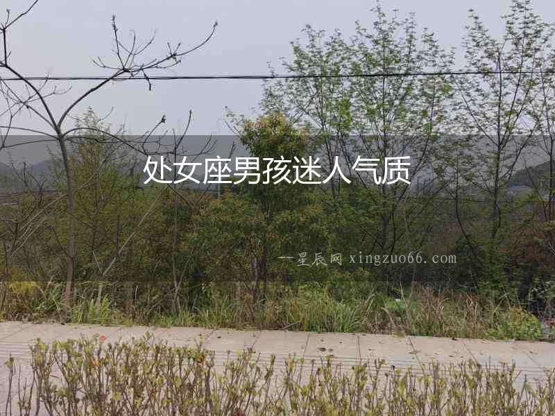 處女座男孩迷人氣質