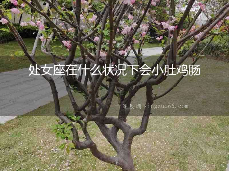 處女座在什么狀況下會(huì)小肚雞腸