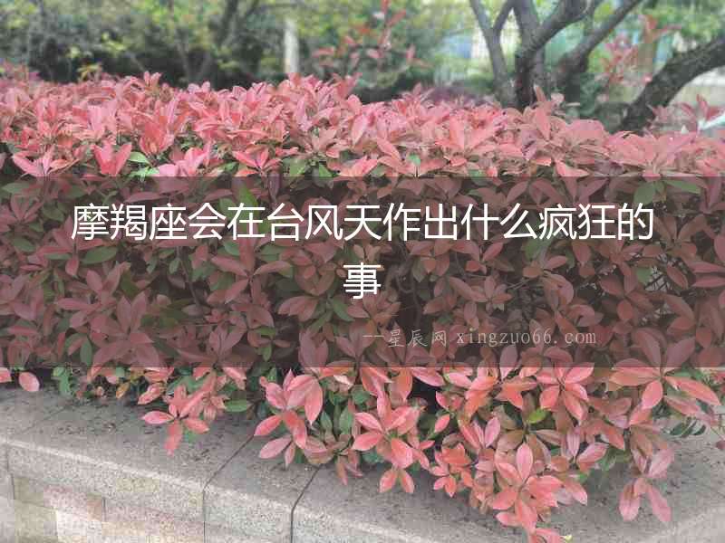 摩羯座會(huì)在臺(tái)風(fēng)天作出什么瘋狂的事