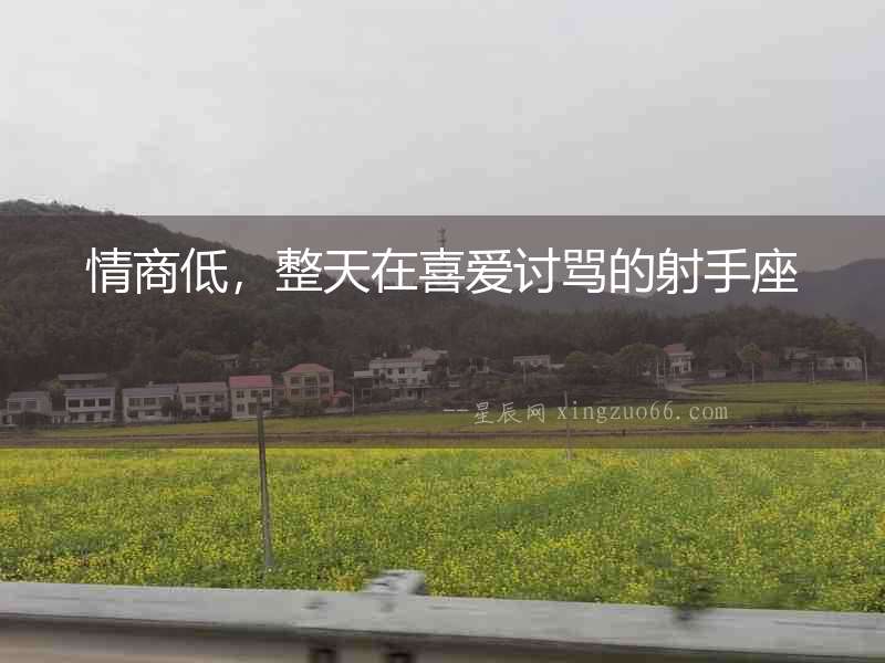 情商低，整天在喜愛討罵的射手座