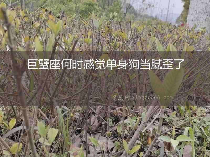 巨蟹座何時感覺單身狗當膩歪了
