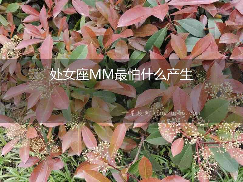 處女座MM最怕什么產(chǎn)生