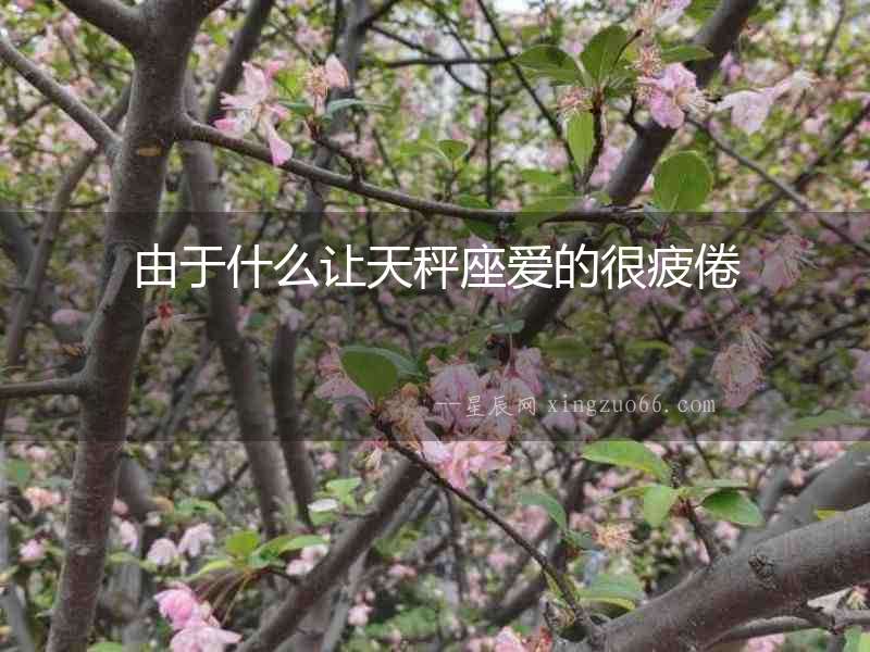 由于什么讓天秤座愛的很疲倦