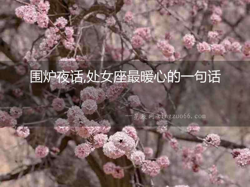 圍爐夜話,處女座最暖心的一句話