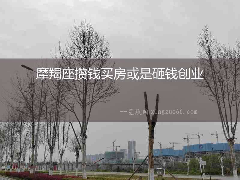 摩羯座攢錢買房或是砸錢創業