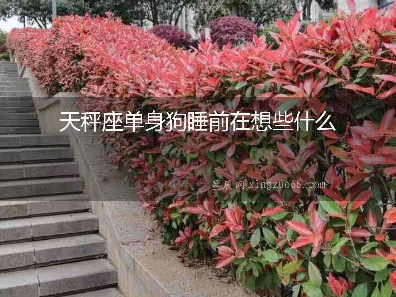 天秤座單身狗睡前在想些什么