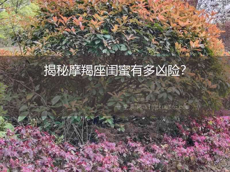 揭秘摩羯座閨蜜有多兇險？