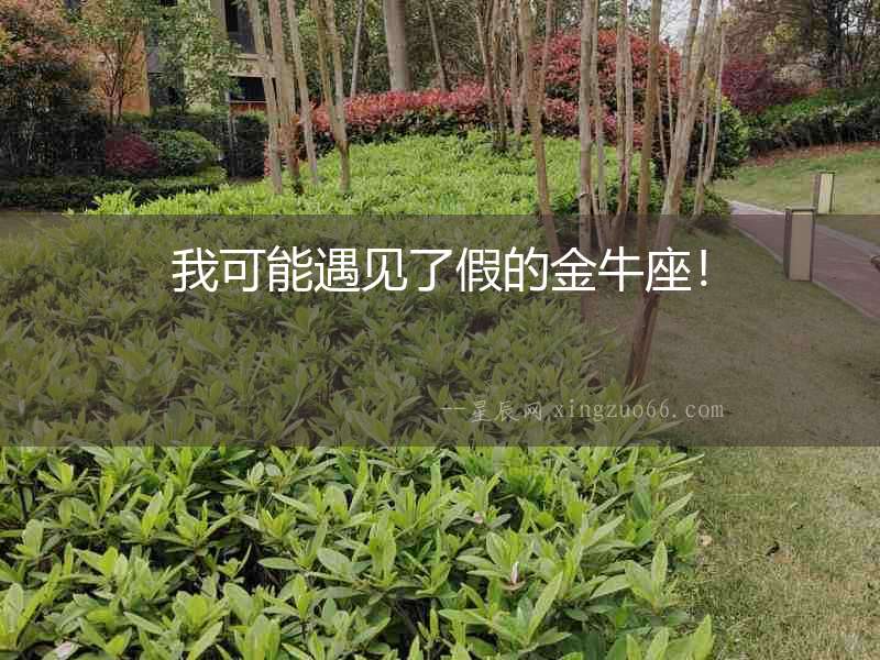 我可能遇見了假的金牛座！
