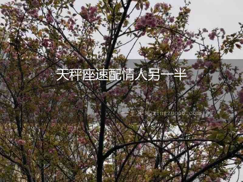 天秤座速配情人另一半
