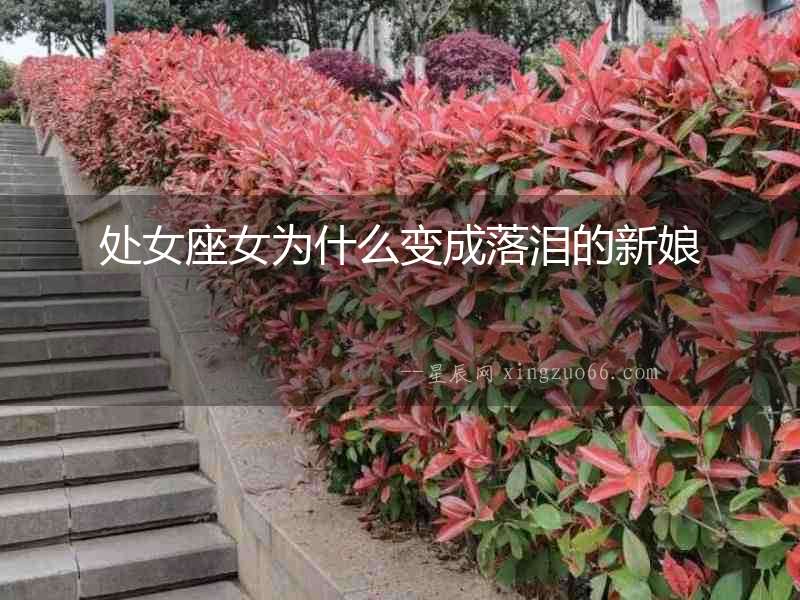 處女座女為什么變成落淚的新娘