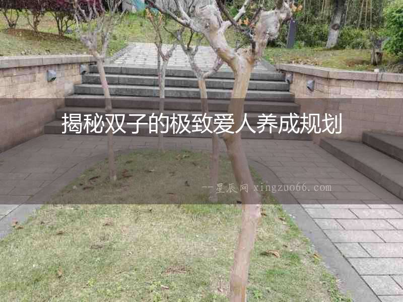 揭秘雙子的極致愛人養成規劃
