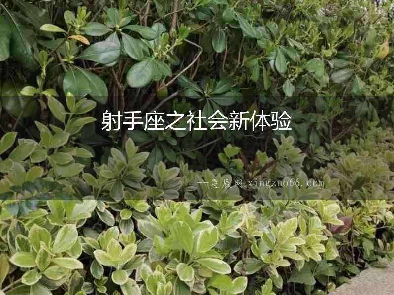 射手座之社會(huì)新體驗(yàn)