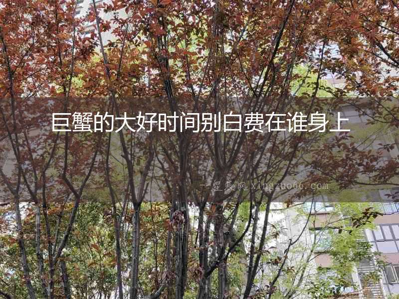 巨蟹的大好時間別白費在誰身上