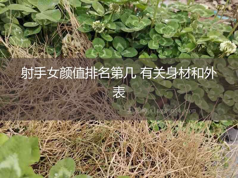 射手女顏值排名第幾 有關身材和外表