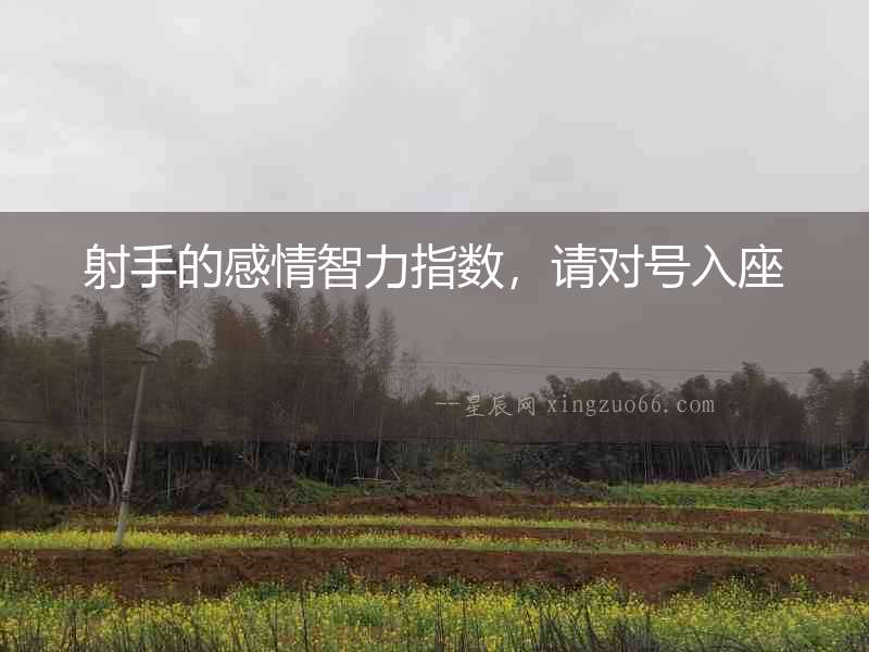 射手的感情智力指數，請對號入座