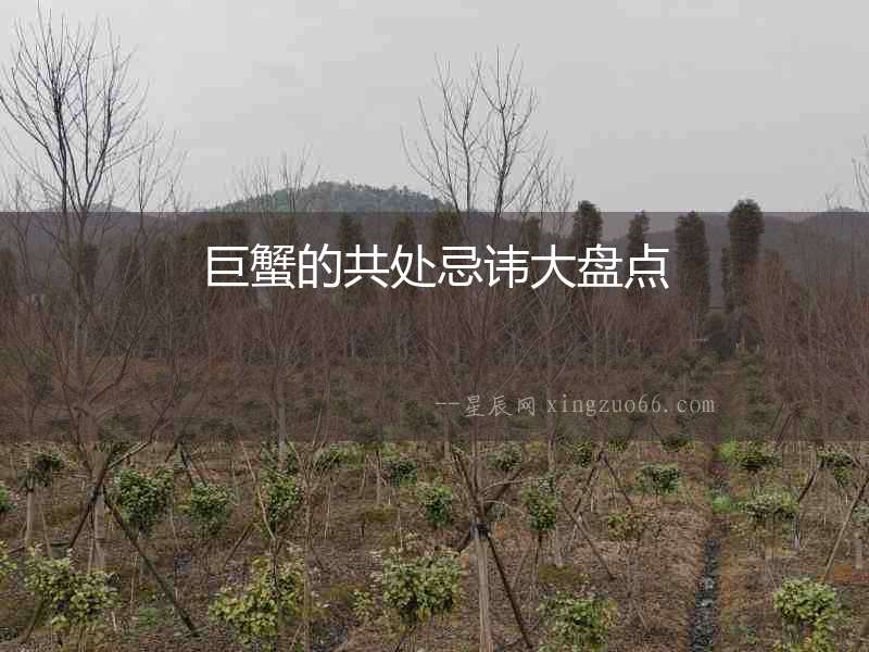 巨蟹的共處忌諱大盤點