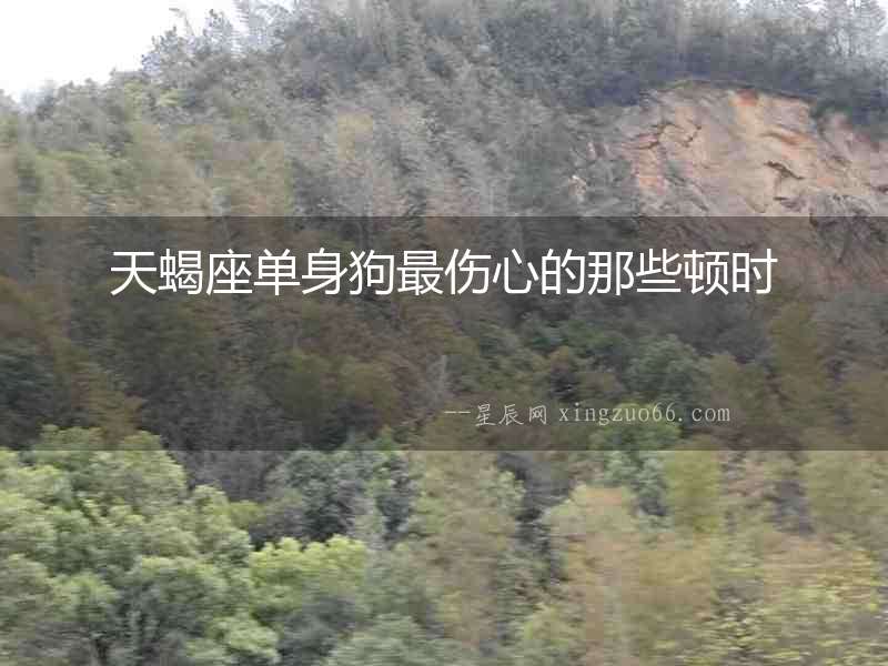 天蝎座單身狗最傷心的那些頓時