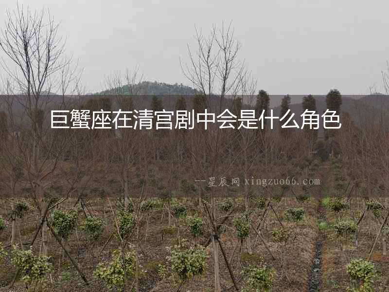 巨蟹座在清宮劇中會是什么角色