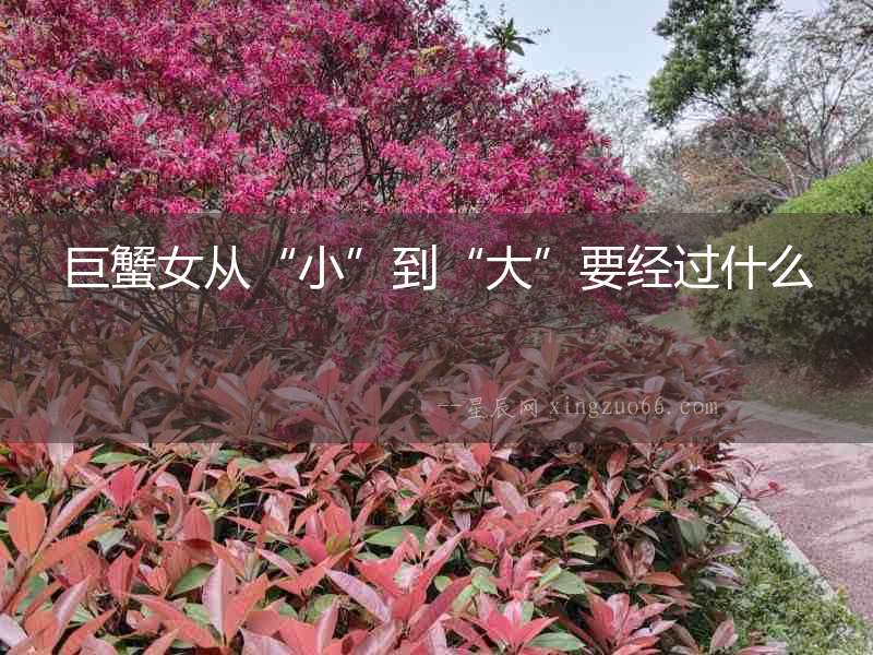 巨蟹女從“小”到“大”要經(jīng)過什么