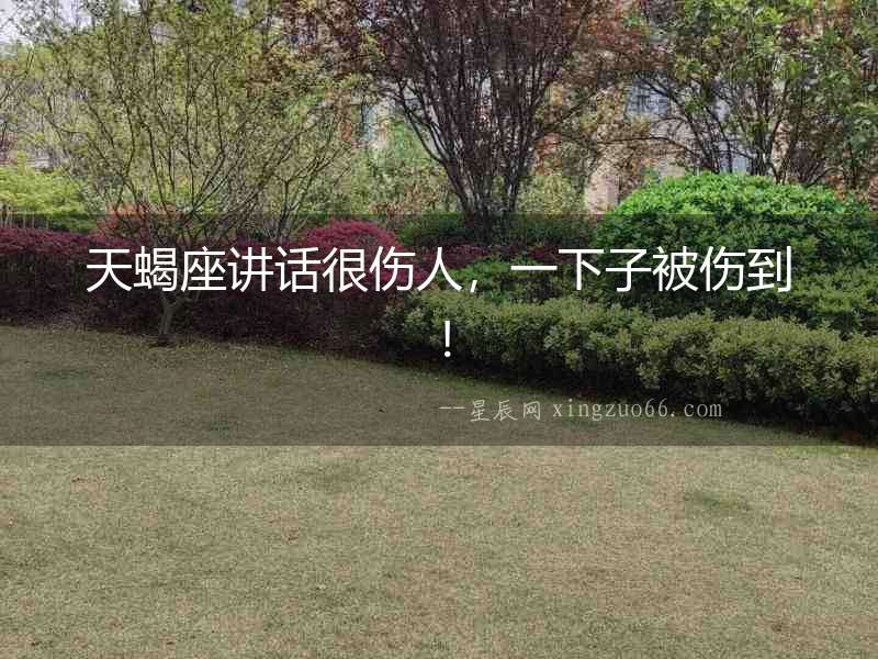 天蝎座講話很傷人，一下子被傷到！