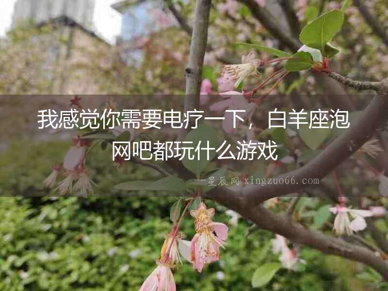 我感覺你需要電療一下，白羊座泡網(wǎng)吧都玩什么游戲