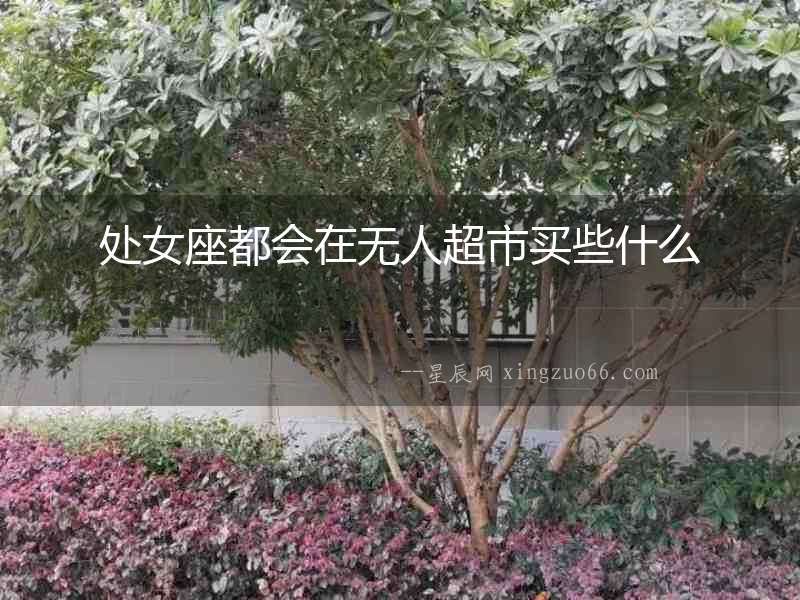處女座都會(huì)在無(wú)人超市買些什么
