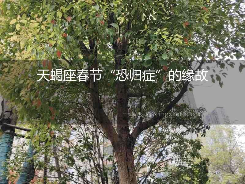 天蝎座春節“恐歸癥”的緣故