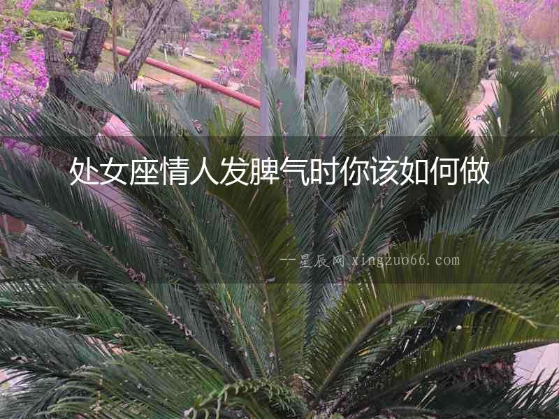 處女座情人發脾氣時你該如何做