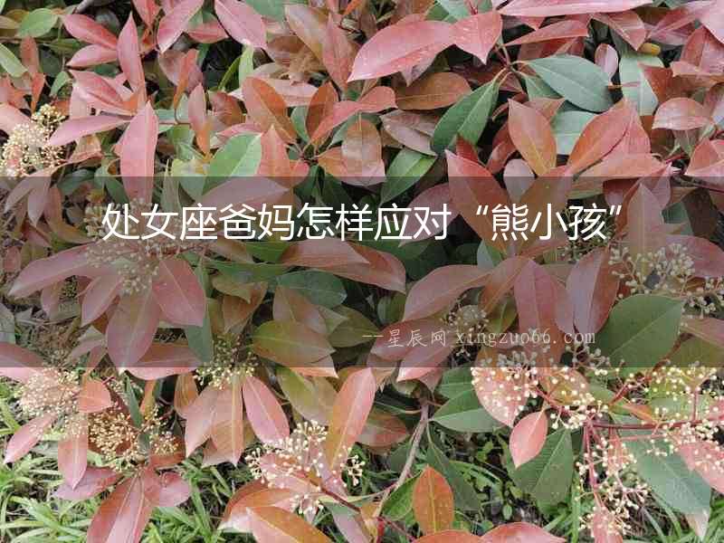 處女座爸媽怎樣應(yīng)對“熊小孩”