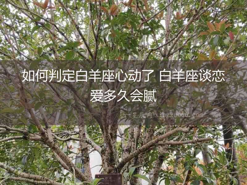 如何判定白羊座心動了 白羊座談戀愛多久會膩