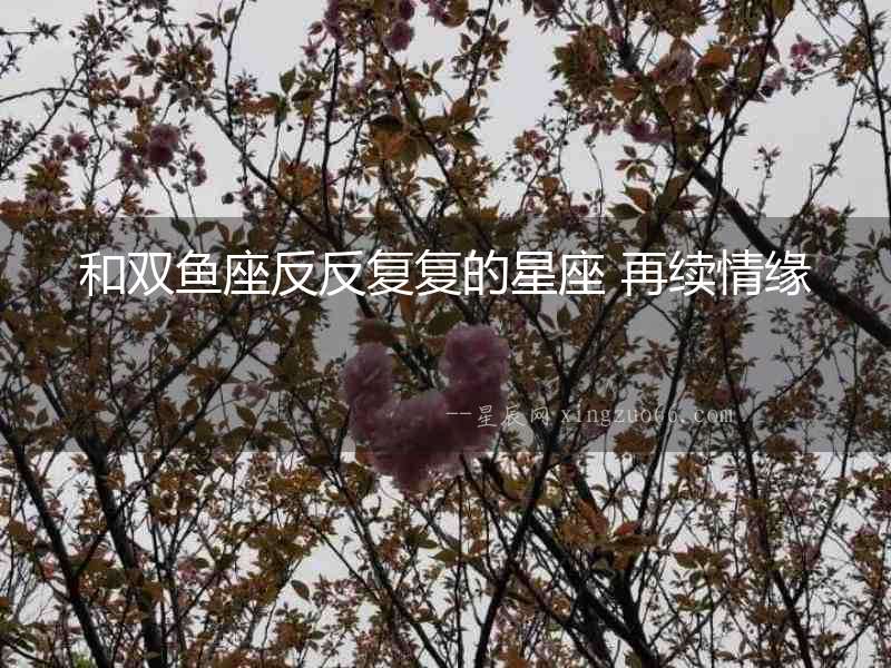 和雙魚座反反復(fù)復(fù)的星座 再續(xù)情緣
