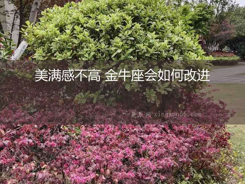 美滿感不高 金牛座會如何改進(jìn)