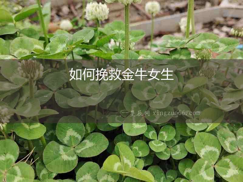 如何挽救金牛女生