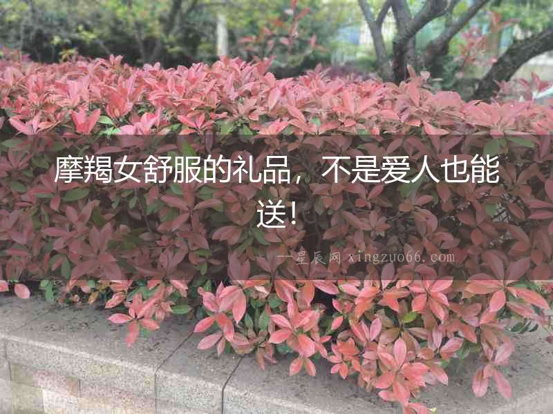 摩羯女舒服的禮品，不是愛人也能送！
