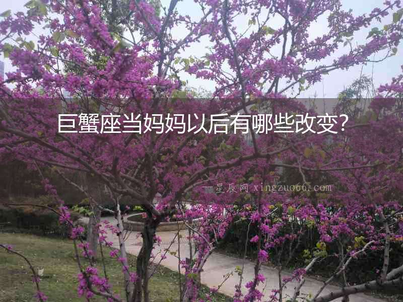 巨蟹座當媽媽以后有哪些改變？