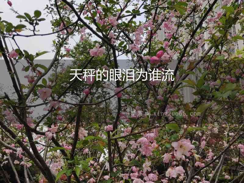 天秤的眼淚為誰流