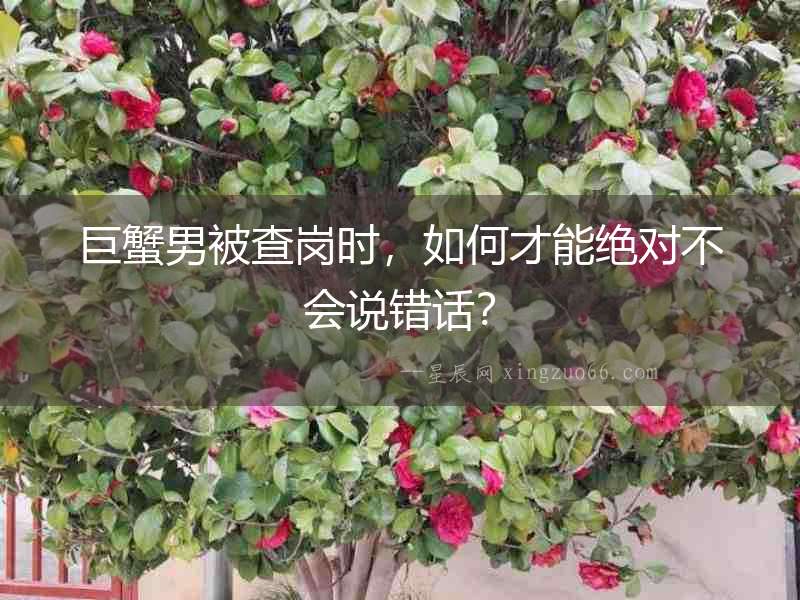 巨蟹男被查崗時(shí)，如何才能絕對(duì)不會(huì)說(shuō)錯(cuò)話？