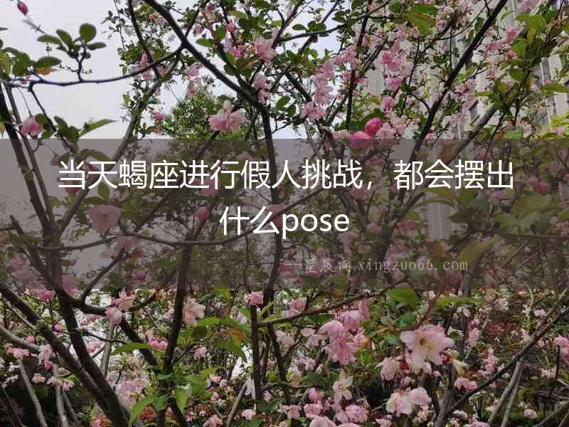 當天蝎座進行假人挑戰，都會擺出什么pose